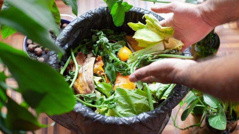 The benefits of composting at home